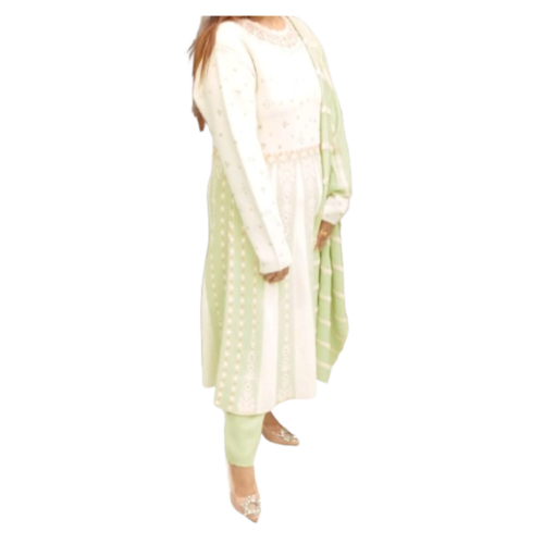 Elegant Pastel Green & White Embroidered Anarkali Suit Set for Women ART NO 6003